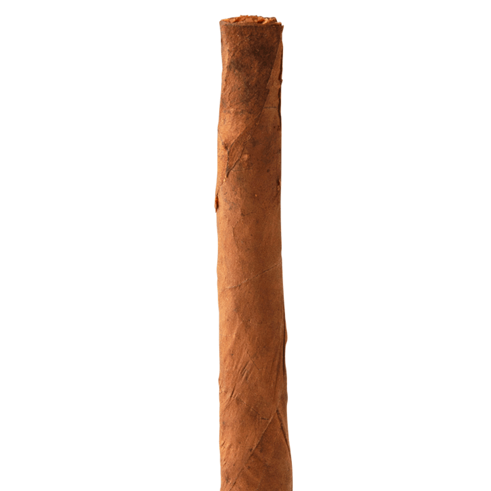 Backwoods The Marathon Single